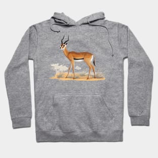 Springbok Hoodie